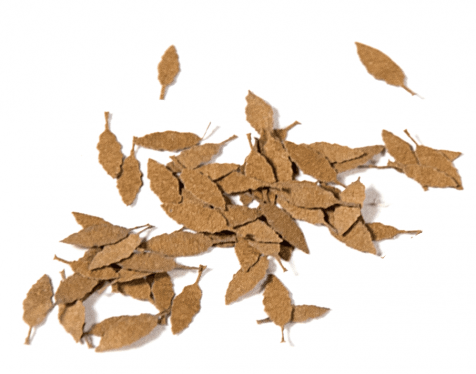 UNIVERSAL DRY LEAVES 1:35 - AK Interactive | The weathering #Brand