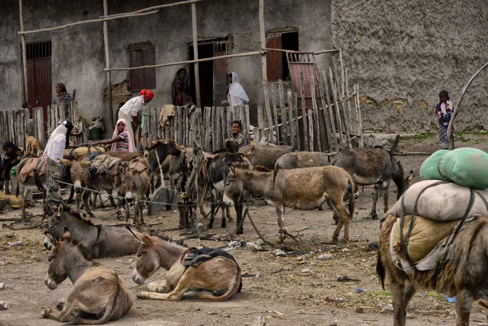 Donkey_Depot,_Ethiopia_(11417064965).jpg