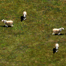 Sheep | Age of Empires Series Wiki | Fandom