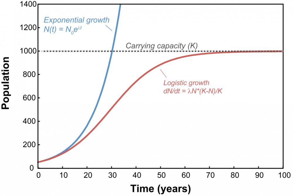Difference-Between-Exponential-Growth-and-Exponential-Decay-.png