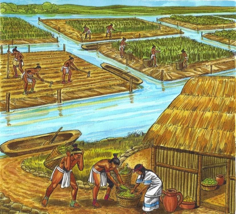 Resultado de imagen para mayan farming