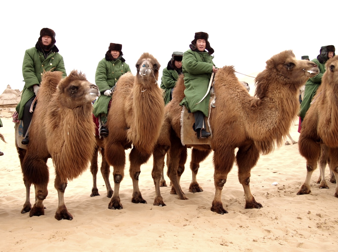 chinese-military-men-on-camels.jpg