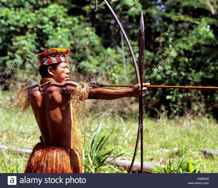 Resultado de imagen para bow amazonian indian