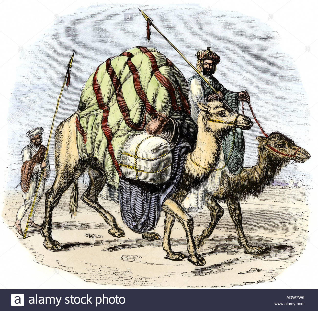 silk-clipart-camel-10.jpg