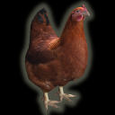 Chicken128.png
