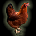 Chicken_Size_Test_128.png