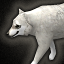 fauna_wolf_snow.png