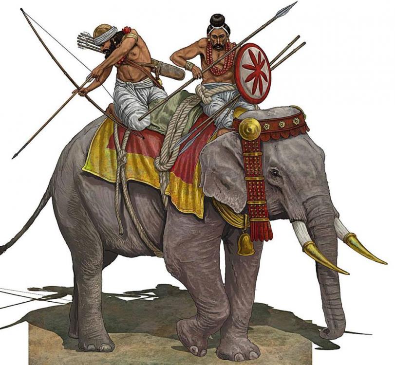 arquero a elefante 1.jpg
