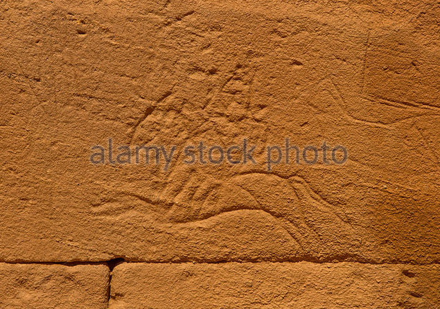 man-riding-a-horse-carving-on-the-elephant-temple-at-musawwarat-es-d6aax4.jpg.d514903132aa99ba330c0e1ffb825a47.jpg