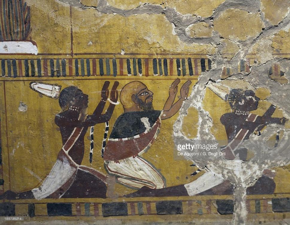 59bd6ca5a0819_EgyptianwallpaintingdepictingKushites.thumb.jpg.2ed0ef4d37c2ca8198bc3d4c3a631b38.jpg