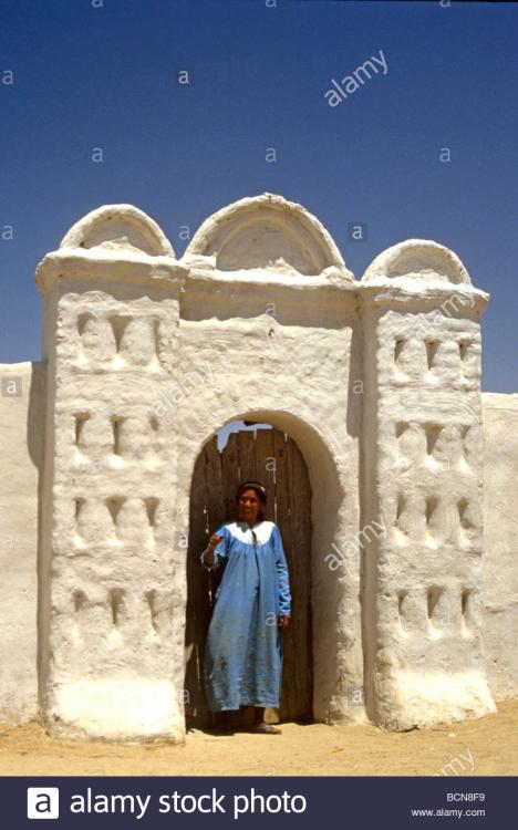 nubia-sudan-nubian-architecture-BCN8F9.thumb.jpg.a13bef908c7a6128d791460d845391af.jpg