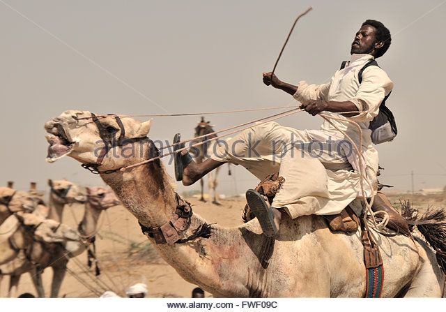 port-sudan-beja-camel-race-fwf09c.jpg.a0bb8c96017511d82c62b5d41a1be456.jpg