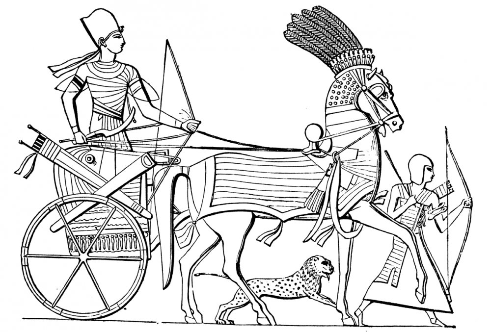 egyptian-chariot.thumb.png.5c6bac3f9900bcab51b9496ffa6ed2ca.png