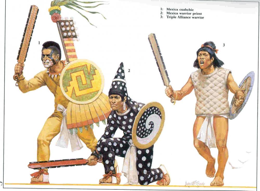 aztec-warriors-5.thumb.jpg.5c2a2157826a2841ba4fd1be0e8a1efd.jpg