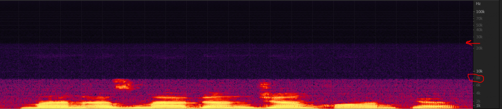 Spectrograph_voice.thumb.png.3df5384580a1cf6a0e1c831abef8986e.png