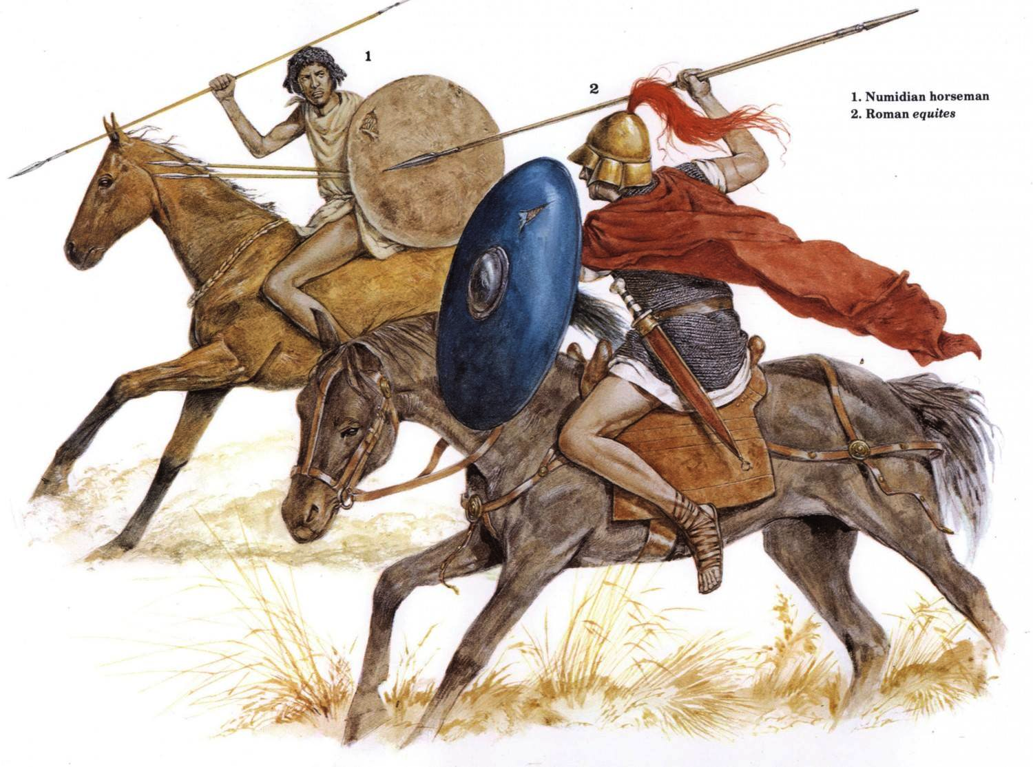 Римские алы. Римский всадник Эквит. Нумидийская конница. Всадники в древнем Риме это. Воины Рима нумидийцы.