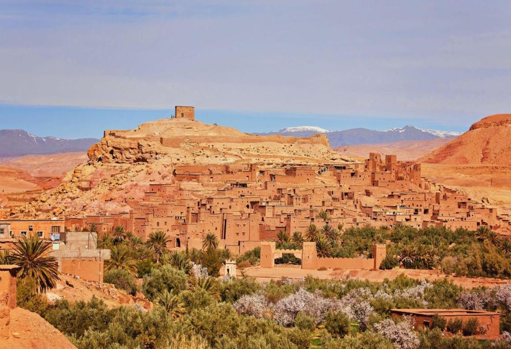 agences-de-voyages-a-Ouarzazate-Maroc.thumb.jpg.41a1bbd6b58a12ffbe199124a49ae189.jpg