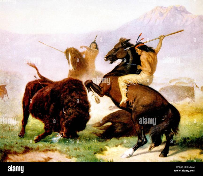 1700s-1800s-native-americans-on-horseback-hunting-bison-buffalo-on-E632AG.thumb.jpg.6876ebd08c7563382ce800a3756ea5e4.jpg