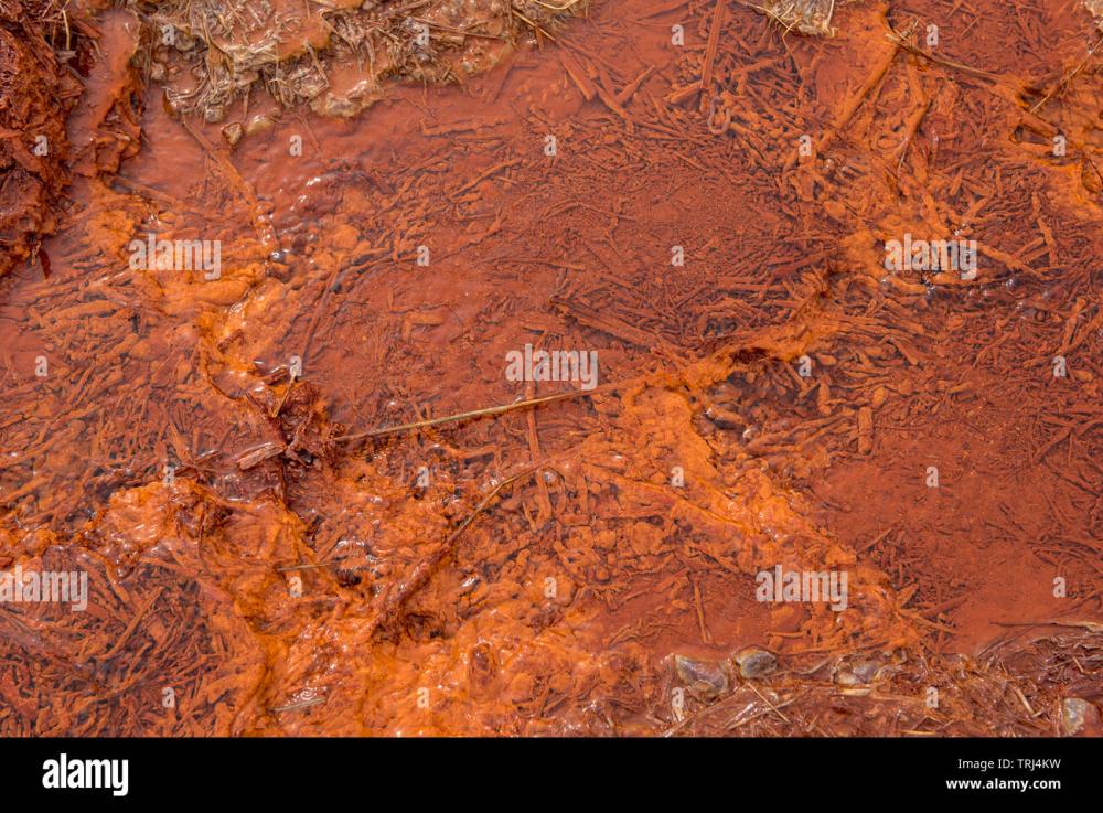 iron-rich-mineral-water-spring-with-red-deposition-in-iceland-TRJ4KW.thumb.jpg.005c12f8903691968887e96f07c9f86d.jpg