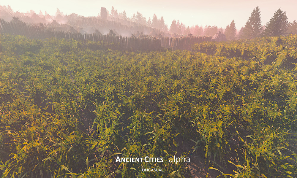 view_settlement_from_cultivated_field.jpg