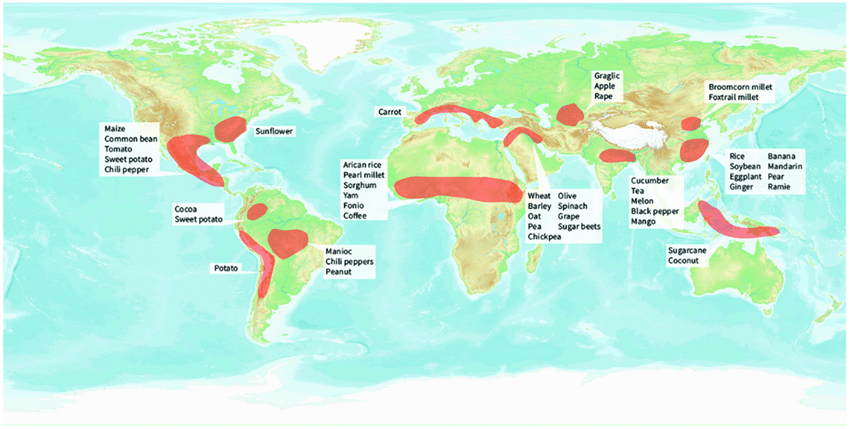 Global-food-crop-origin-and-domestication-Shaded-regions-indicate-approximate-locations.png.e45879479e85f62a3be9fc5b88069498.png