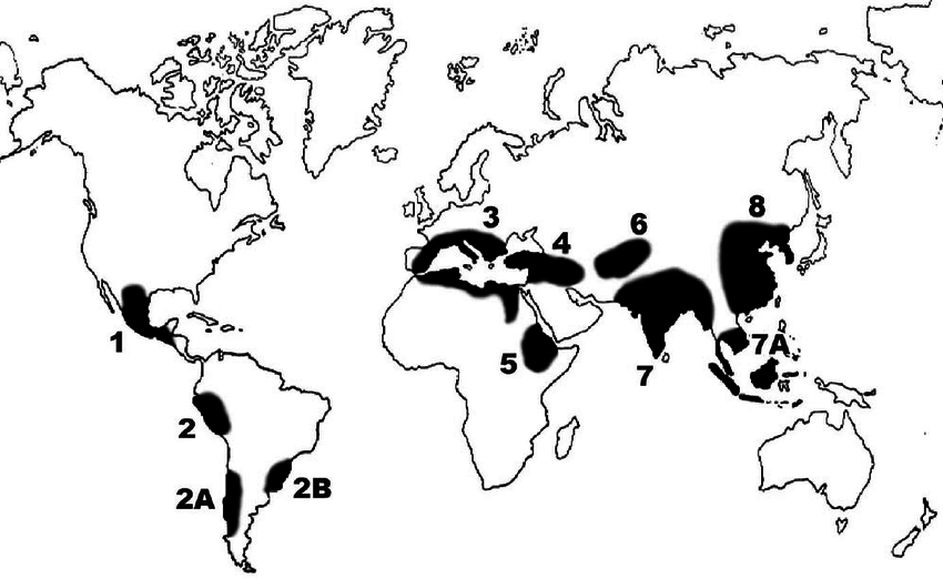 Origins-of-Agriculture-Vavilovs-original-map-of-the-origins-of-agriculture-1.png.313c93d8e1d7dbdc8a02946fb3232ab4.png