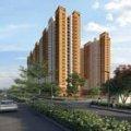 Prestige Evergreen Offers