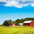 OP Farms